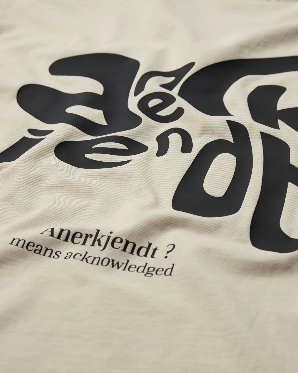 Anerkjendt Akvillads Anerkjendt? Print S/S Tee Tofu