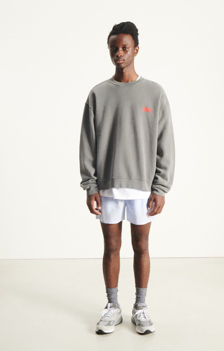 American Vintage Men's Sweatshirt Plizzy (Vintage Ash)